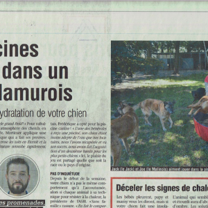 Croix Bleue de Belgique - Des piscines canines dans un refuge namurois